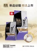 爵加新品幼貓精選上市！