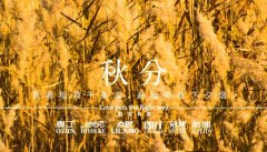 秋分丨晝夜分畫，漸入秋華