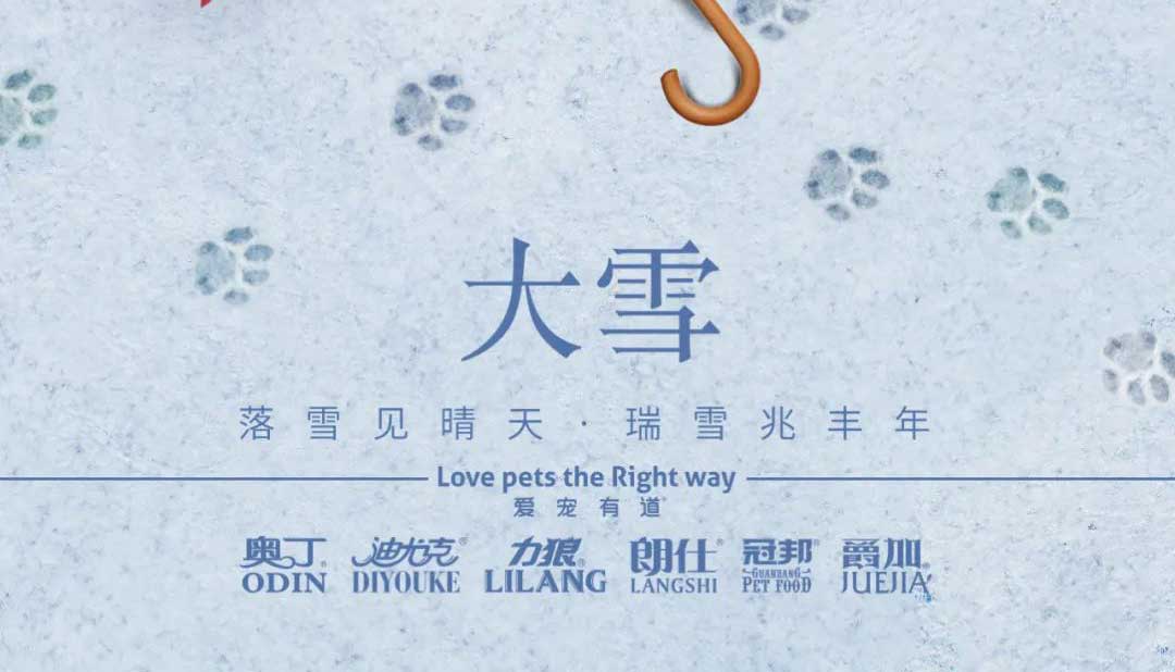 大雪丨雪落知寒意 久伴見(jiàn)初心！