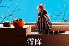 霜降丨縱然霜華盡染，心中美好如初