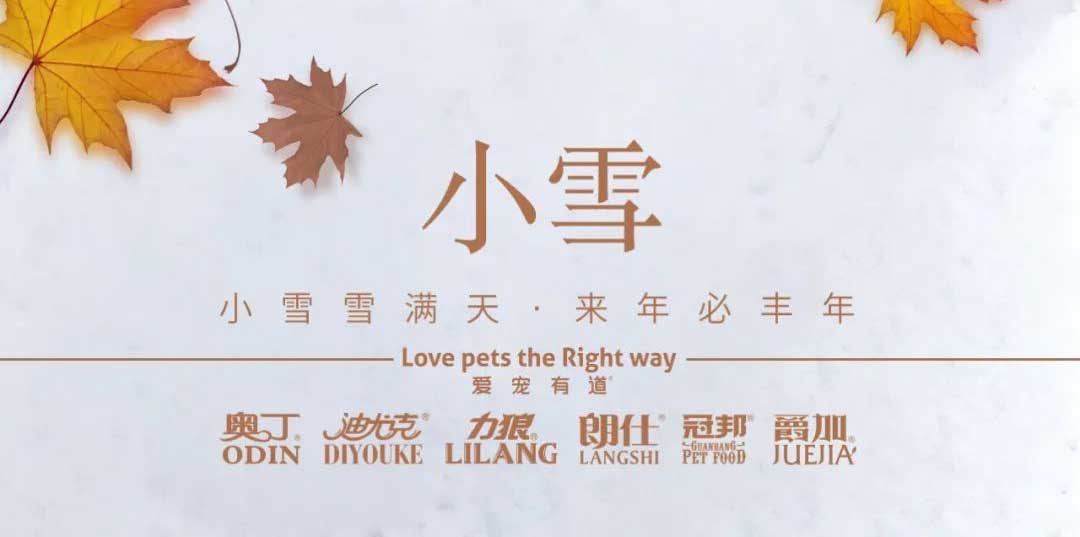 小雪丨天地初寒，歲月安暖